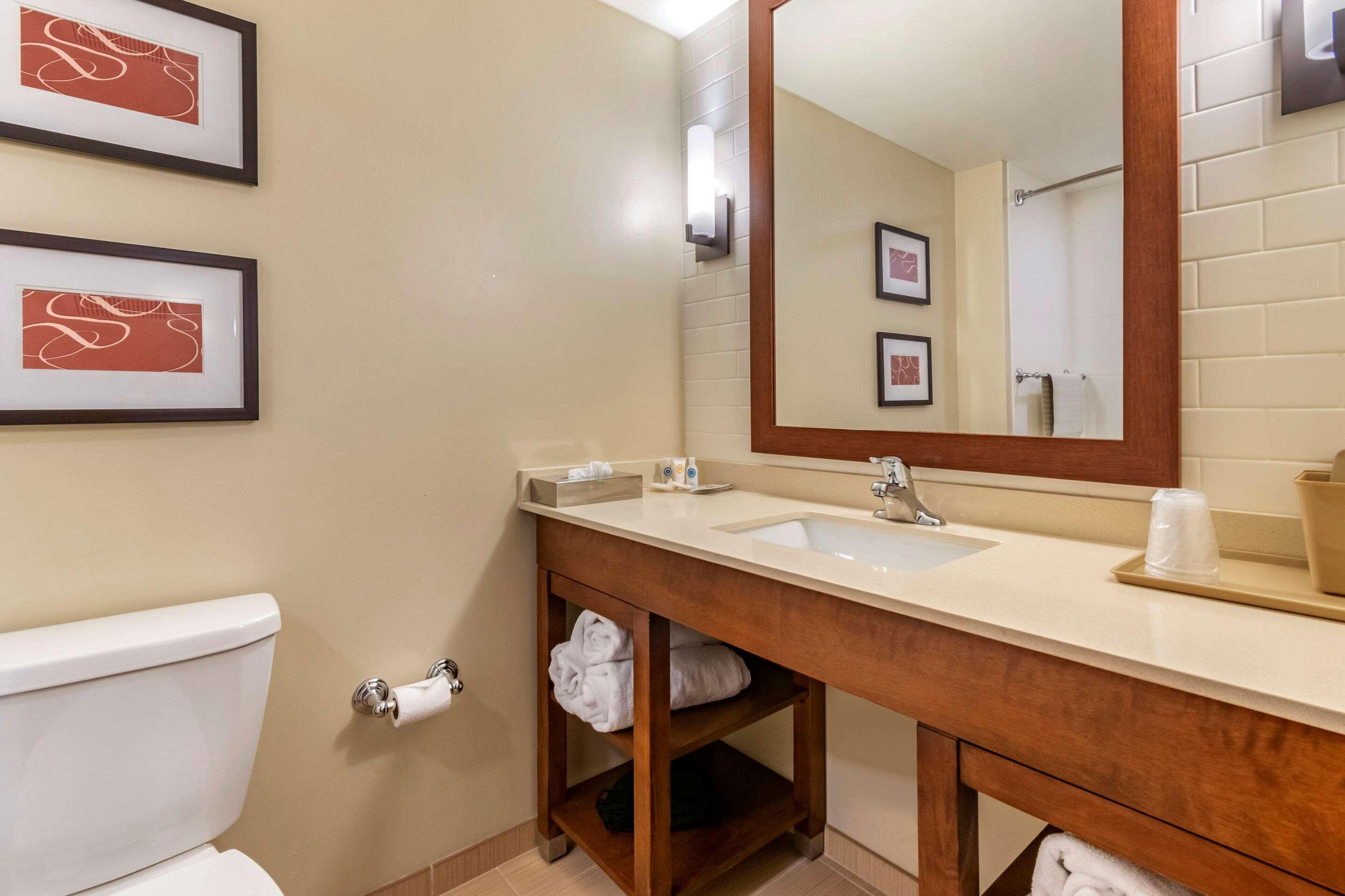 Comfort Suites Manheim - Lancaster Bagian luar foto