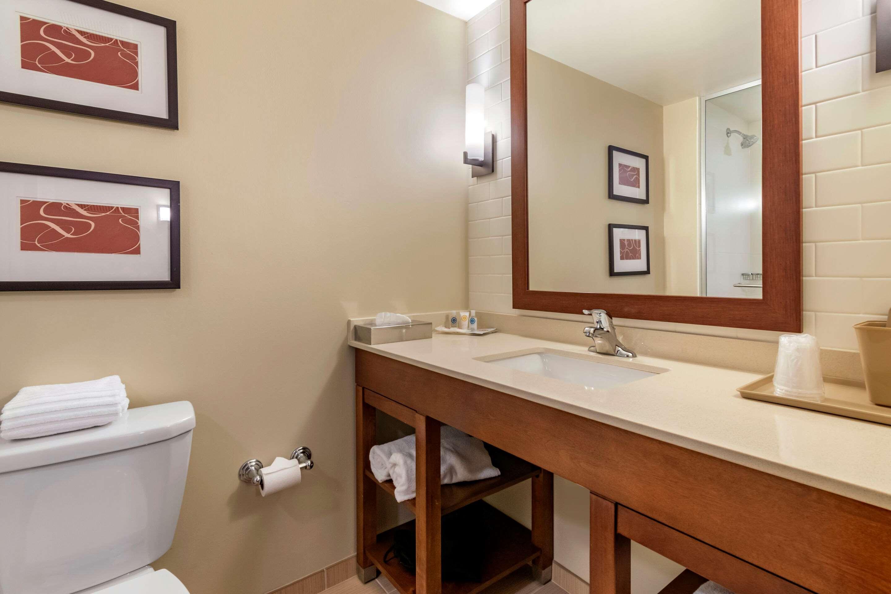 Comfort Suites Manheim - Lancaster Bagian luar foto